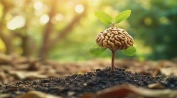 普通人如何通過反常識方法突破成長瓶頸？認知覺醒給出答案