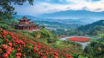 西北風(fēng)味瑰寶：天水漿水的魅力
