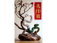 蛇年玄學(xué)指南：避免這些禁忌讓你運(yùn)勢翻倍！