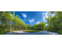 日照竹洞天風景區(qū)深度游：探秘竹文化與民族風情之旅攻略