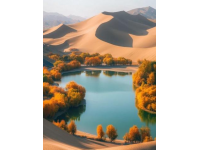 石家莊坐地鐵去正定，觀賞滹沱河秋韻風(fēng)景，體驗云南洱海胡楊林的味道