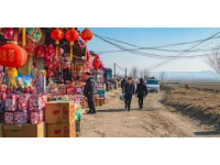 家鄉(xiāng)春節(jié)那些事兒：特色活動(dòng)、傳統(tǒng)儀式與美食制作的生動(dòng)記錄