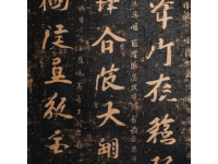 早些年，當(dāng)我初次聽到海月之名時，我覺得有點不可思議,古人竟然把這樣蘊含詩意的名