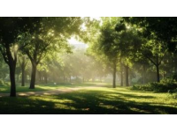 初夏午后,我走進(jìn)一個(gè)充滿陽光和綠色的地方...