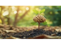 普通人如何通過反常識方法突破成長瓶頸？認(rèn)知覺醒給出答案