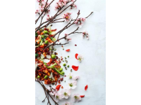 分享我最愛的春日美食洛陽(yáng)人的春天都在碗里！