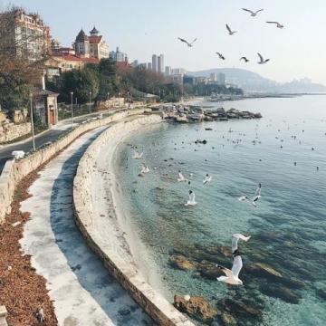 汕尾旅行別錯過紅海灣遮浪半島美景