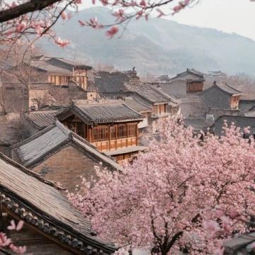 綿陽平武：賞梅花十里花海的周邊游攻略