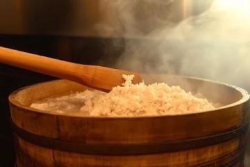 蒸制榆錢(qián)美食攻略：美味榆錢(qián)飯的制作方法