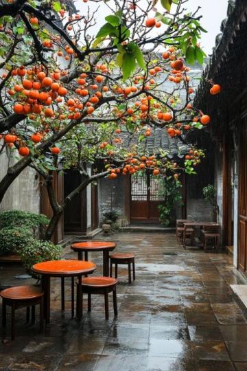 棗莊：探尋兩千年的石榴文化底蘊(yùn)與城市魅力