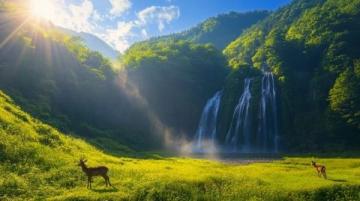 暑假好去處：文成縣山水風(fēng)光與清涼瀑布之旅