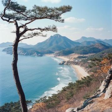 探索華東純凈海濱：東臺黃海森林公園，國家級生態(tài)仙境之旅