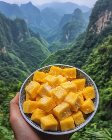 向家村：探索獨(dú)特的隆回縣美食之旅