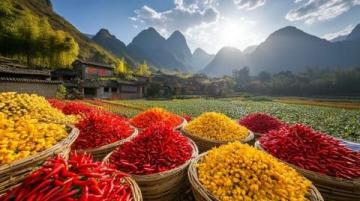 廣西五地風味各異，桂北至桂西，品嘗八大特色美食區(qū)