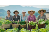 秋日里的甜蜜享受：經(jīng)典拔絲紅薯制作詳解