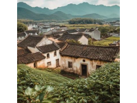 江西上饒和景德鎮(zhèn)旅游攻略(3天江西上饒+景德鎮(zhèn)旅游計劃)