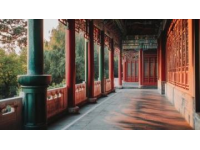 早春探秘：頤和園初醒的寧?kù)o之美
