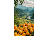壽山極品桔黃皮田黃：色澤艷麗的珍貴果實(shí)魅力探秘