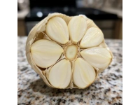 輕松掌握大蒜保存秘籍，兩大妙招防干癟發(fā)芽！