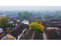 烏鎮(zhèn)街古色古香的美味與江南風(fēng)情