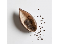 追尋莜面的文化印記——揭秘我國北方傳統(tǒng)美食的獨特魅力