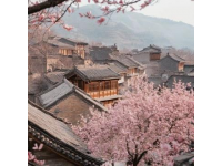 綿陽平武：賞梅花十里花海的周邊游攻略