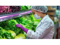 筑牢食品安全防線：源頭監(jiān)管、科技創(chuàng)新與公眾參與