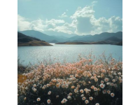 春天來(lái)昆明赴一場(chǎng)花的盛宴浪漫之旅等你哦