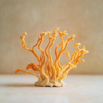 尖叫蘿卜皮｜嘎嘣脆，口感脆爽又開胃，配方標準，細節(jié)技巧無保留分享