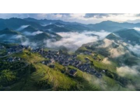 探訪青田：千絲巖尋幽龍現(xiàn)村訪古