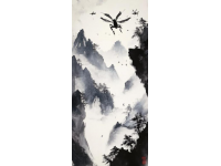 追求完美的旅程：白峰美羽的獨(dú)特魅力與挑戰(zhàn)