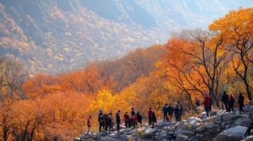 長(zhǎng)春凈月森林：深秋里的五彩仙境