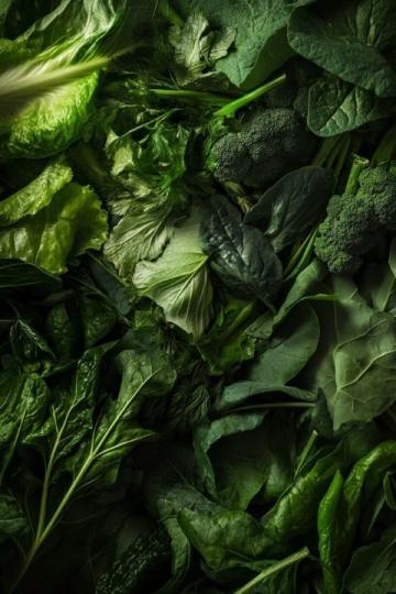 吃出健康：野菜自然饋贈中的生命密碼