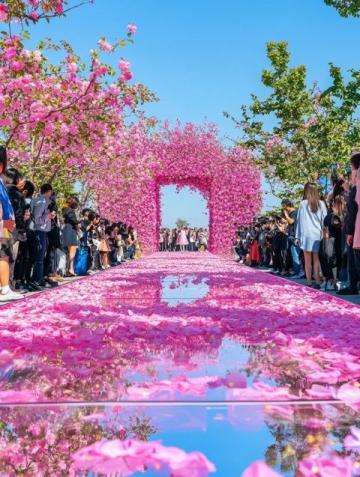 圣誕節(jié)探訪花都昆明：商業(yè)區(qū)盛宴、公園歡歌及必游景點推薦