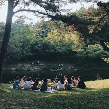 80后安徽農(nóng)村童年：野炊趣事與田野里的自然美味
