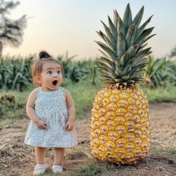 南寧人夏天愛吃水果撈你平時(shí)怎么吃？