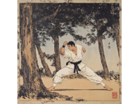 金庸十五部經(jīng)典武俠小說：從雪山飛狐到鹿鼎記