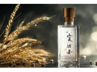 揭秘四川宜賓的獨特風(fēng)味：血皮菜的奇妙江湖