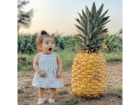 南寧人夏天愛吃水果撈你平時(shí)怎么吃？