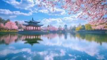 探尋國內(nèi)櫻花盛宴：精選賞櫻路線推薦盤點(diǎn)