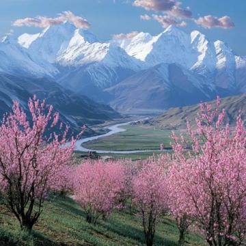 重慶酉陽(yáng)桃花源游玩攻略(重慶酉陽(yáng)桃花源游玩攻略穿越塵世)