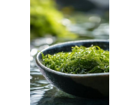 銀耳 vs 燕窩：經(jīng)濟(jì)實(shí)惠的養(yǎng)生選擇——美膚補(bǔ)水潤(rùn)肺湯的做法