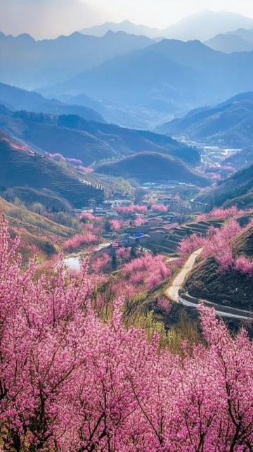 重慶春日賞花游攻略：自然人文美景全收錄