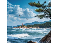 本地人親身經(jīng)歷：這份東山島旅游攻略，讓你的夏天不留遺憾！