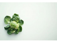 江蘇寶應(yīng)黑菜的神秘起源及其獨(dú)特魅力