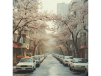 杭州秋日最美9條道路推薦，不容錯(cuò)過的賞秋打卡地