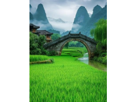 揭秘你不知道的廣西冷門知識(shí)