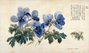 崇明宅溝之三花小絮～日常27