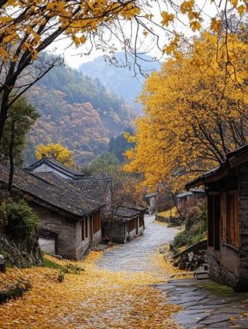 安徽陽產(chǎn)土樓：云端秋色里的歡樂之旅