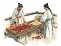 乾隆年間幼兒誤吞魚鉤，名醫(yī)巧用佛珠化險為夷